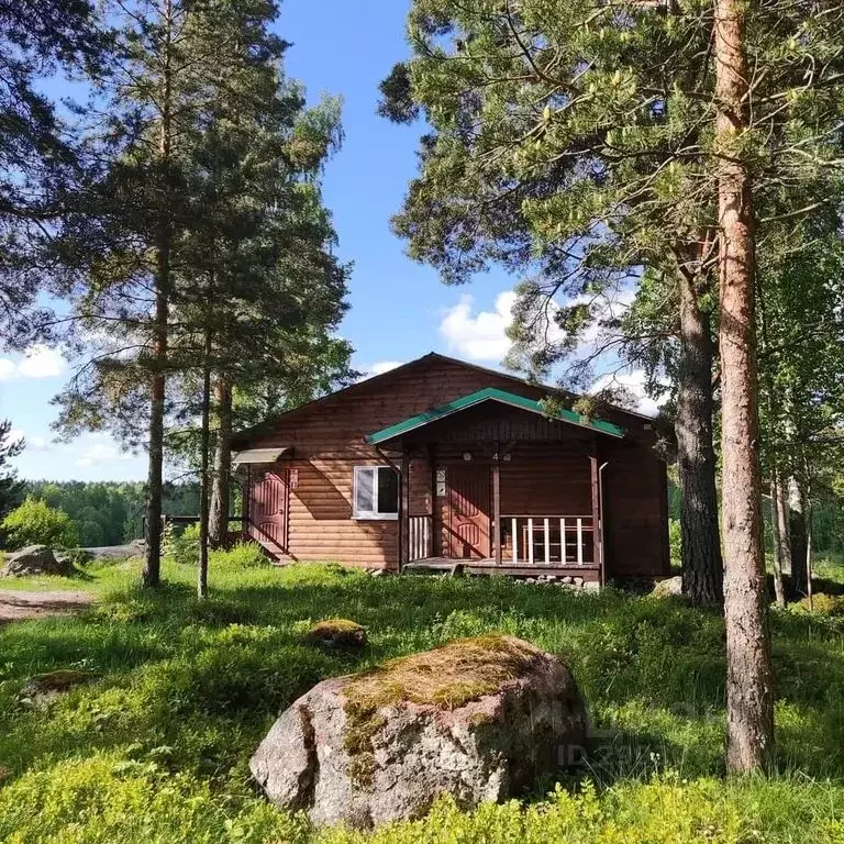 Дом в Ленинградская область, Выборгский район, Каменногорское ... - Фото 0