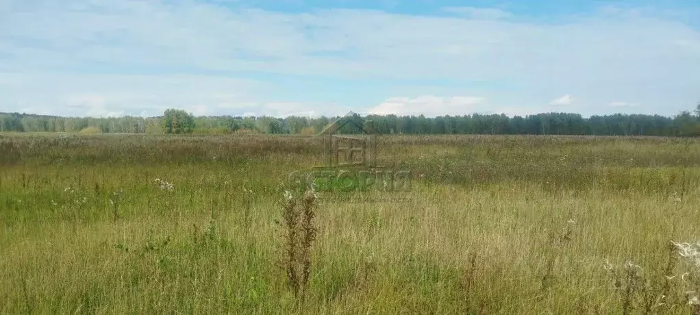 Участок в Красноярский край, Емельяновский муниципальный округ, д. ... - Фото 1