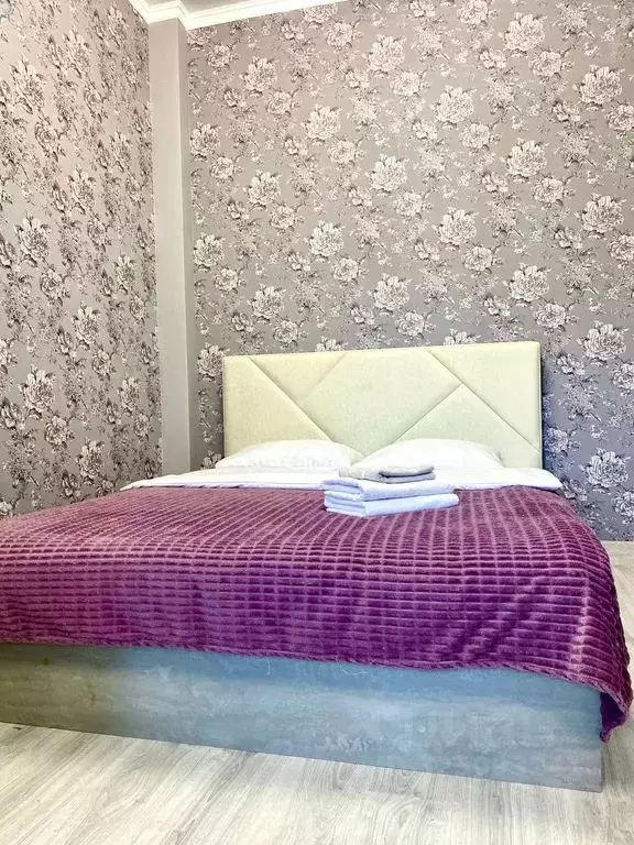 Студия Адыгея, Майкоп ул. Чкалова, 65 (50.0 м) - Фото 1