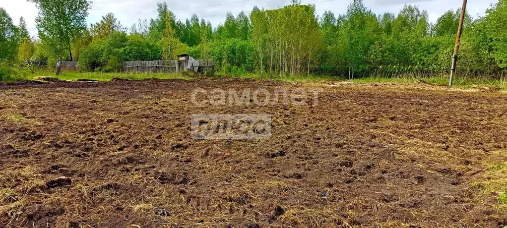 Участок в Тюменская область, Нижнетавдинский район, Строитель ТСН 786 ... - Фото 1