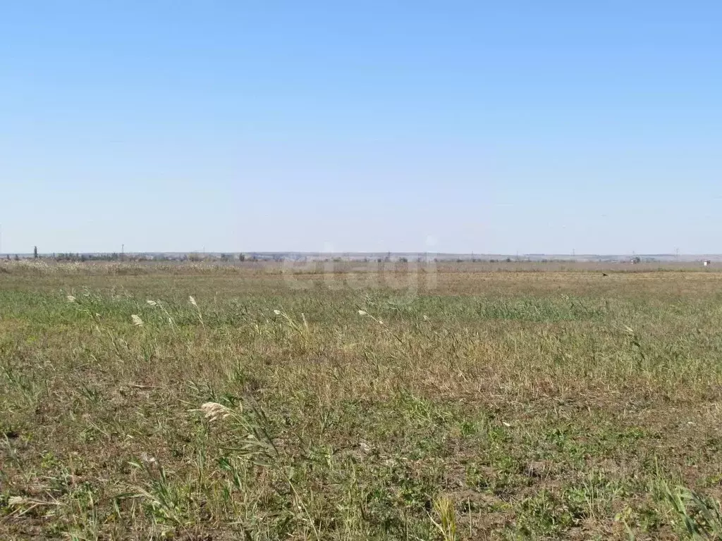 Участок в Волгоградская область, Быковский район, Новоникольское ... - Фото 1