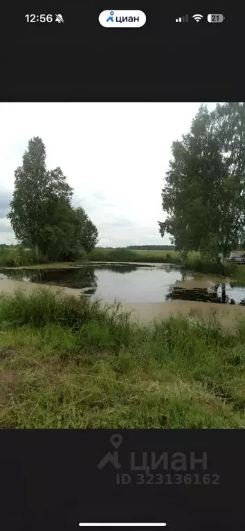 Участок в Ярославская область, Борисоглебский муниципальный округ, д. ... - Фото 2