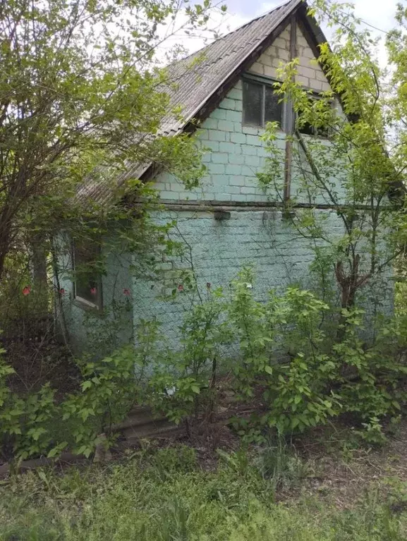 Дом в Белгородская область, Белгородский район, Никольское с/пос, с. ... - Фото 0
