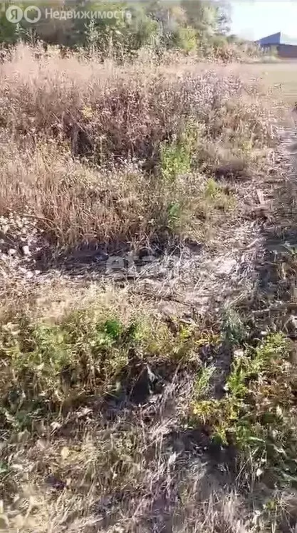 Участок в село Стрелецкое, Адмиральская улица (27 м) - Фото 2