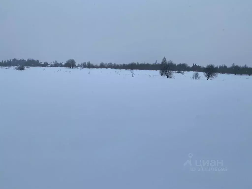 Участок в Московская область, Одинцовский городской округ, д. Торхово ... - Фото 1