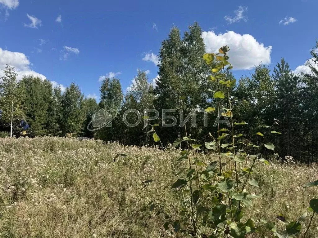 Участок в Тюменская область, Тюменский район, Архитектор СНТ ул. ... - Фото 1