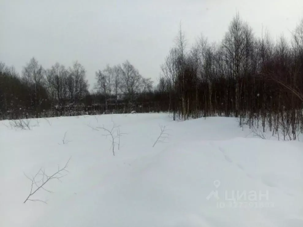 Участок в Московская область, Чехов муниципальный округ, д. Алферово  ... - Фото 1