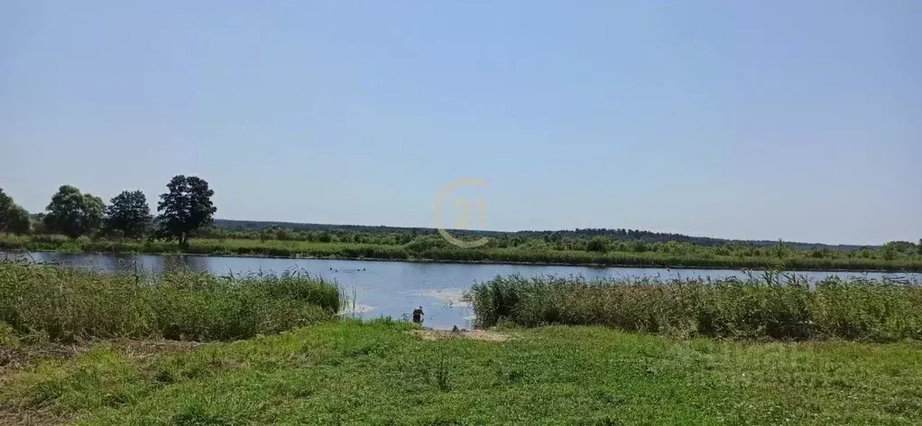 Дом в Тамбовская область, Сосновский муниципальный округ, с. ... - Фото 1