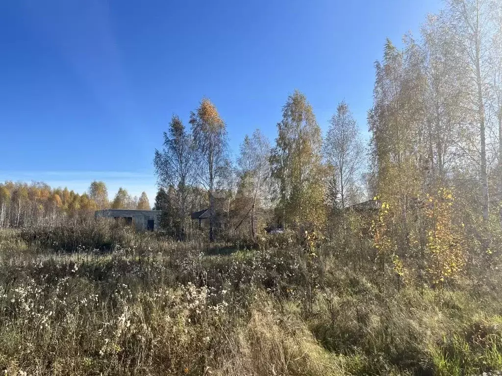 Участок в Челябинская область, Сосновский район, с. Кременкуль, ... - Фото 1