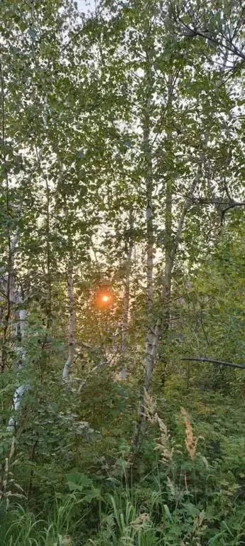 Дом в Саха (Якутия), Якутск Мир ДСК,  (37 м) - Фото 2