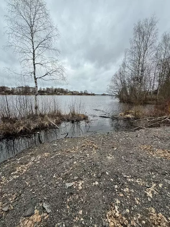 Участок 15 сот. (ИЖС) - Фото 1