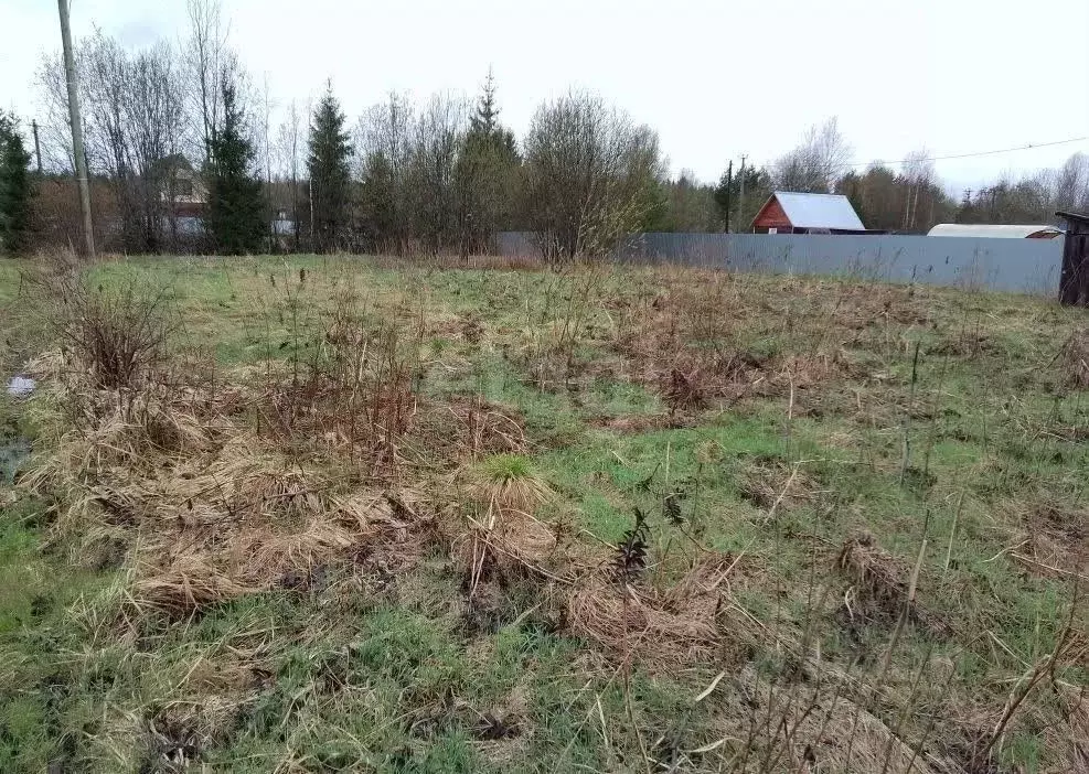 Участок в Вологодская область, Дюково садоводческое товарищество  ... - Фото 2