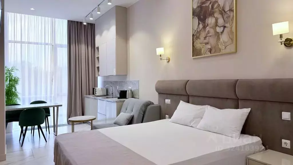 1-к кв. Краснодарский край, Сочи Центральный мкр, ул. Навагинская, 11А ... - Фото 2