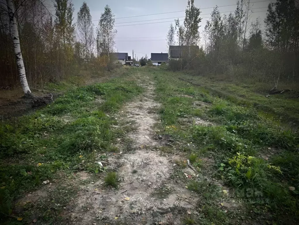 Участок в Новгородская область, Малая Вишера ул. 3-я Парковая (12.0 ... - Фото 0