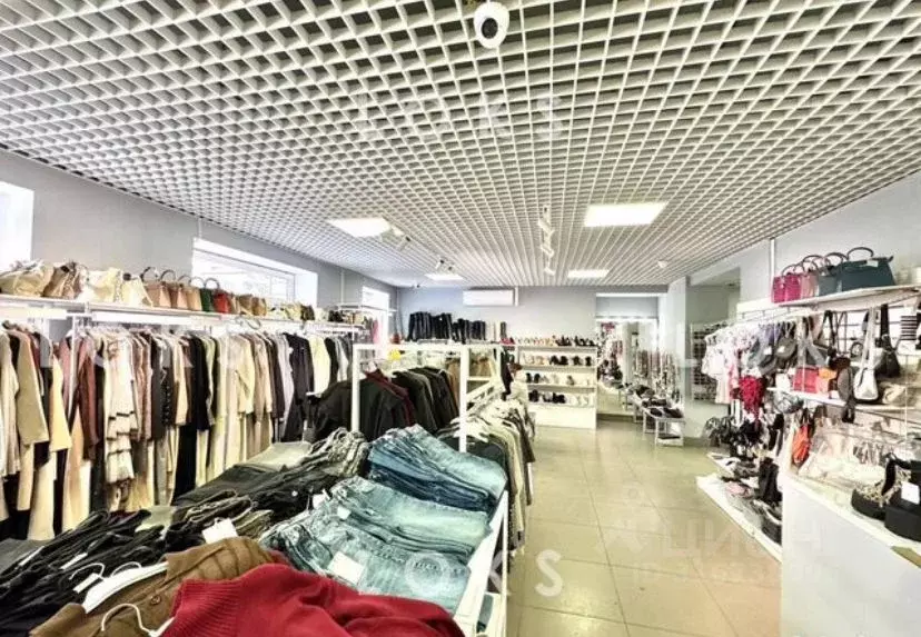 Помещение свободного назначения в Новосибирская область, Новосибирск ... - Фото 0
