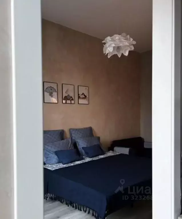 1-к кв. Ленинградская область, Выборг Крепостная ул., 12 (25.0 м) - Фото 2