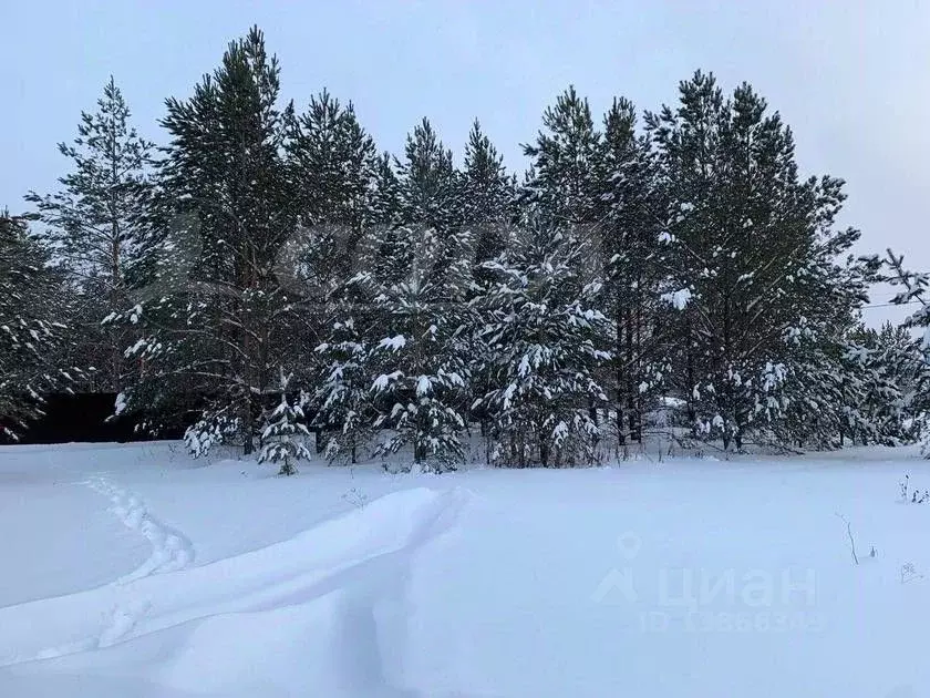 Участок в Тюменская область, Тюменский район, с. Успенка Зеленогорская ... - Фото 1