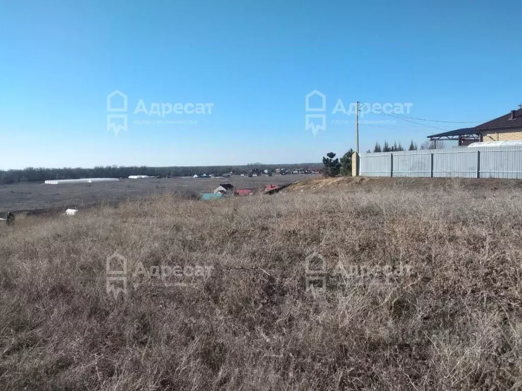 Участок в Волгоградская область, Средняя Ахтуба рп ул. Наримана (9.62 ... - Фото 0