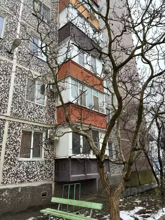 1-к кв. Краснодарский край, Северский район, Афипское городское ... - Фото 2