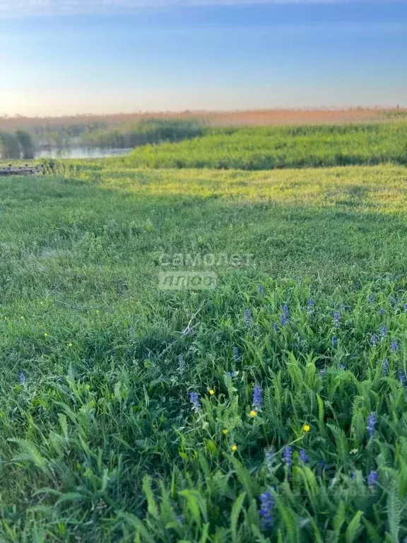 Участок в Краснодарский край, Тимашевск Приречная ул., 108 (15.0 сот.) - Фото 1