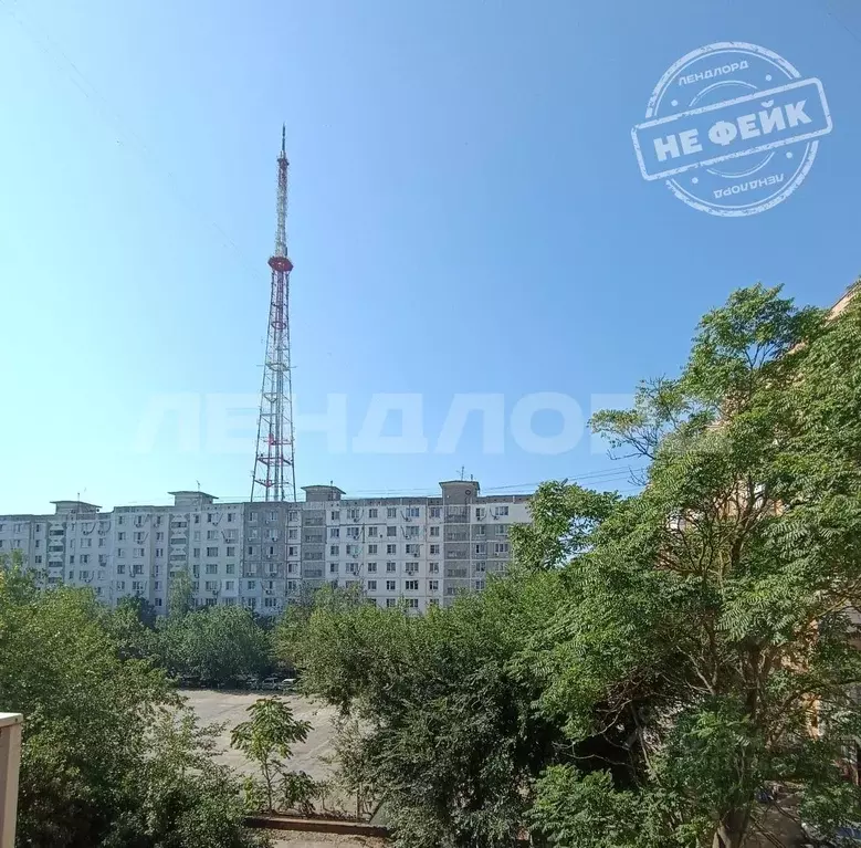 1-к кв. Ростовская область, Ростов-на-Дону ул. Верещагина, 10 (30.0 м) - Фото 0