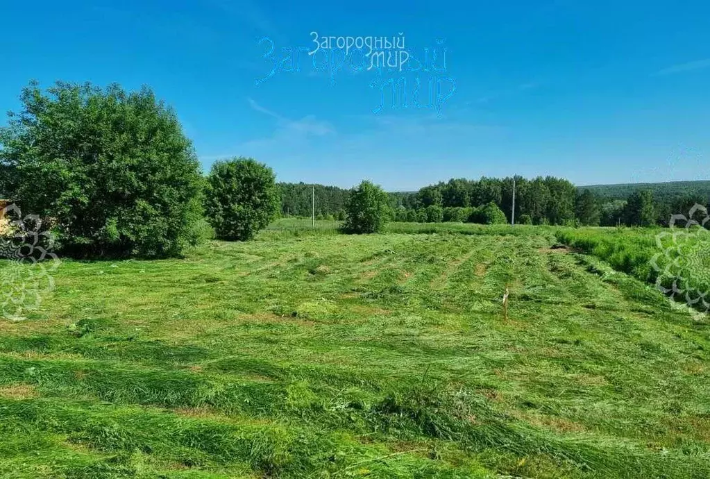 Участок в Тульская область, Заокский район, Страховское муниципальное ... - Фото 1