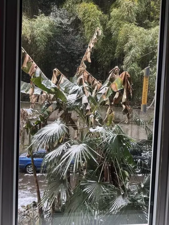 2-к кв. Краснодарский край, Сочи Центральный мкр, ул. Комсомольская, ... - Фото 2