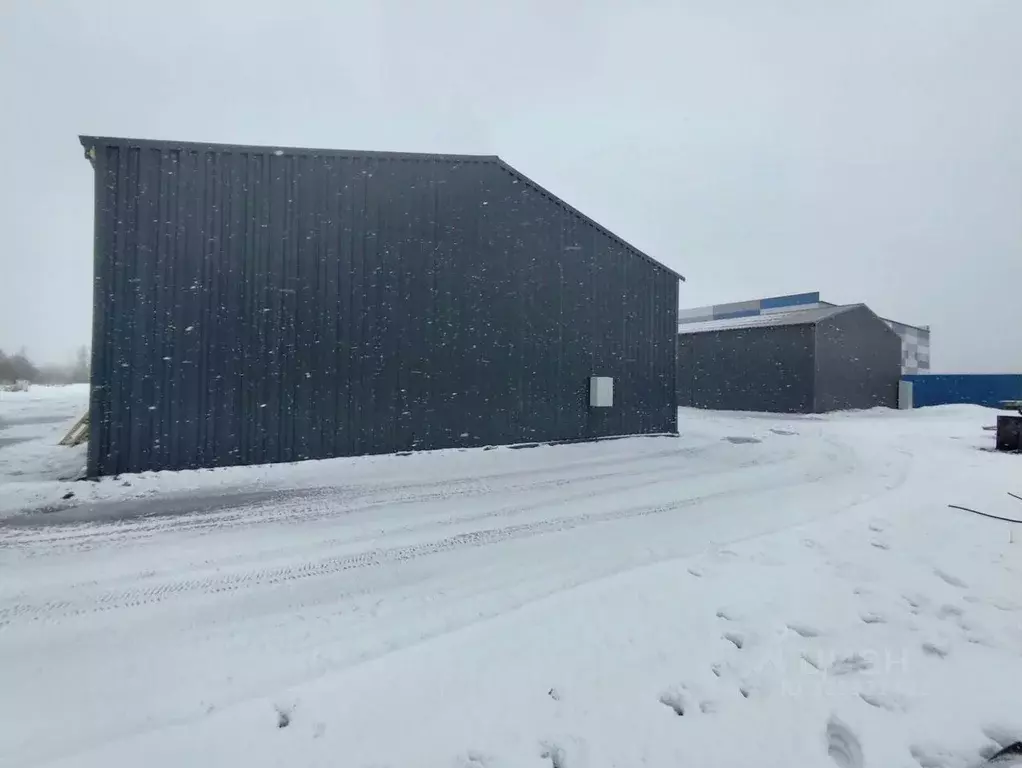 Производственное помещение в Ленинградская область, Всеволожский ... - Фото 1