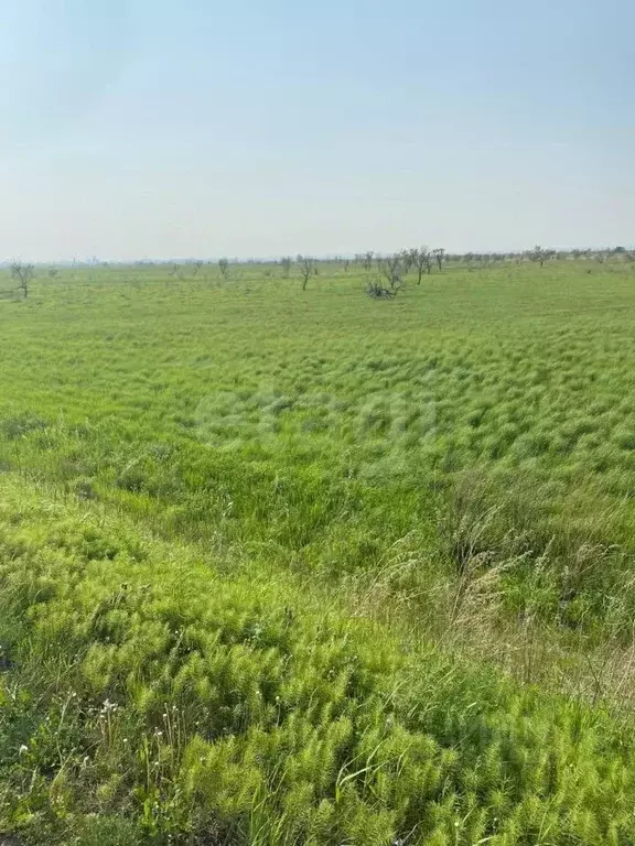 Участок в Амурская область, Благовещенский район, пос. Заречный  (20.4 ... - Фото 1