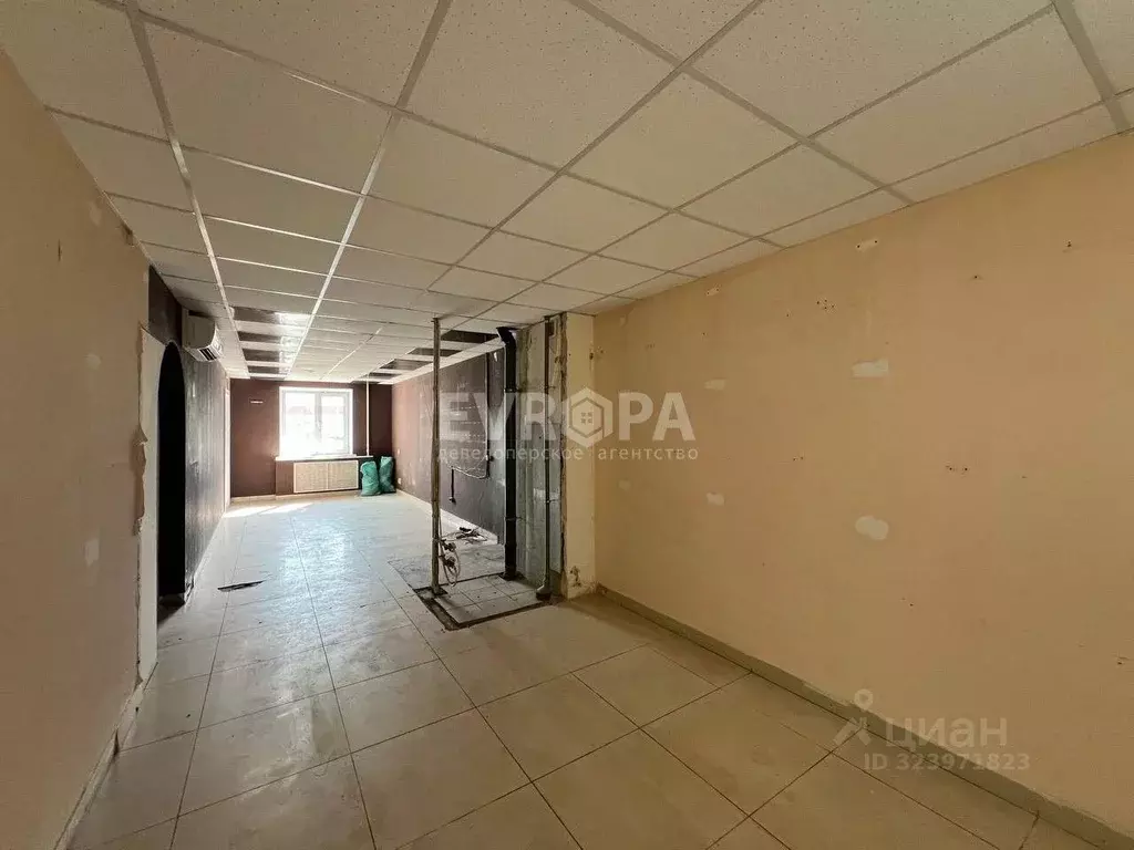 Торговая площадь в Ульяновская область, Ульяновск ул. Рябикова, 60А ... - Фото 1