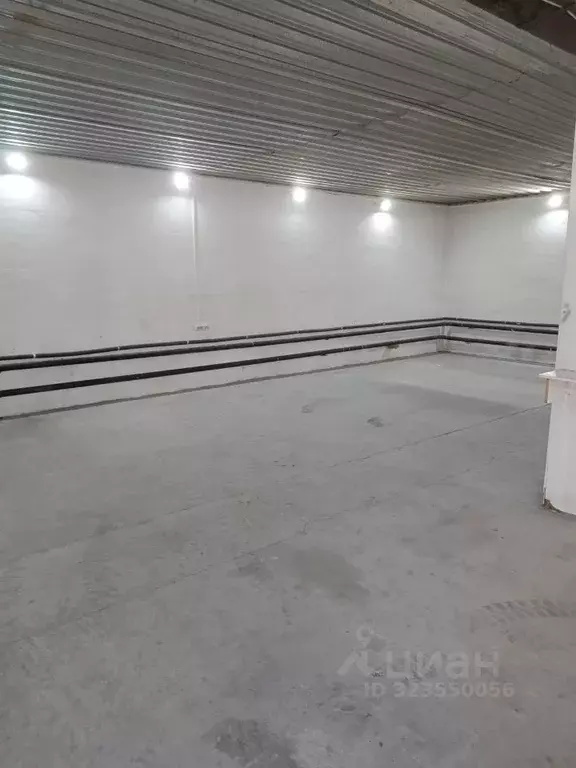 Помещение свободного назначения в Новосибирская область, Новосибирск ... - Фото 2