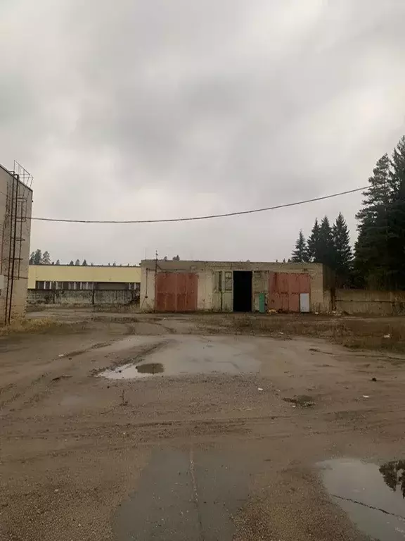 Производственное помещение в Ленинградская область, Луга Ленинградское ... - Фото 2