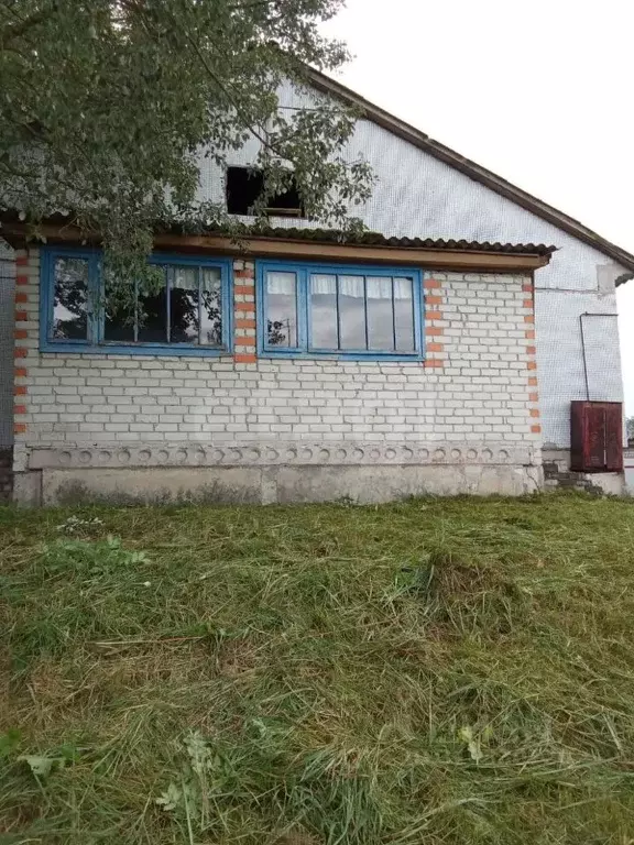 3-к кв. Брянская область, Навлинский район, Синезерское с/пос, с. ... - Фото 1