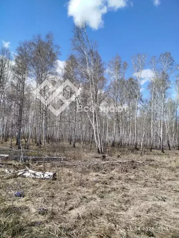 Участок в Челябинская область, Сосновский муниципальный округ, д. ... - Фото 2