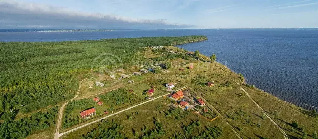 Участок в Нижегородская область, Сокольский муниципальный округ, д. ... - Фото 1