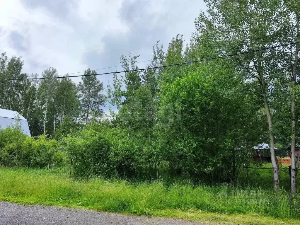 Участок в Московская область, Щелково городской округ, Комета СПК ул. ... - Фото 0