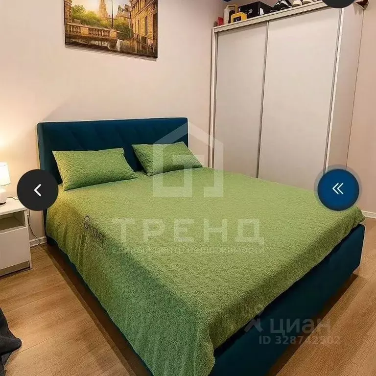 1-к кв. Санкт-Петербург пос. Шушары, ул. Нины Петровой, 6к4 (31.3 м) - Фото 1