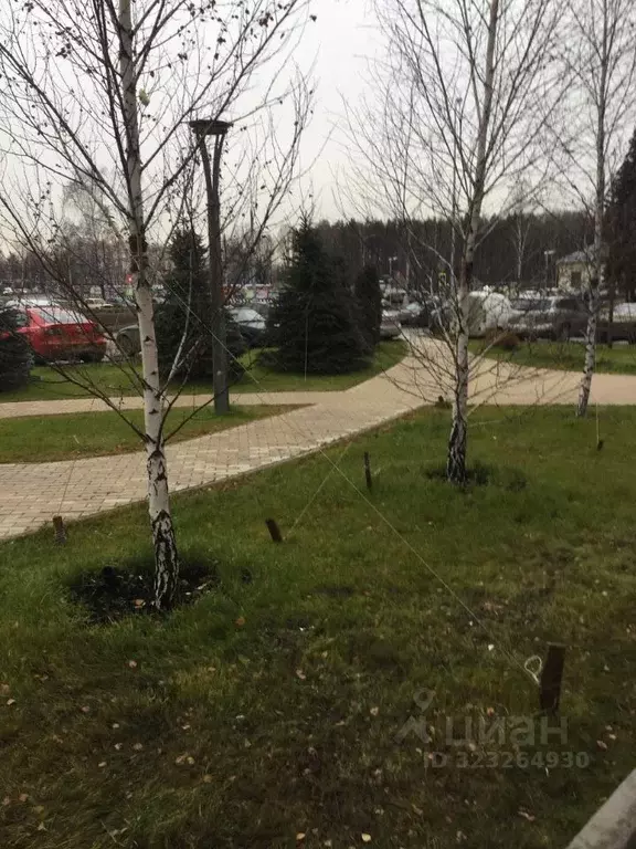 1-к кв. Москва, Москва, Московский г. ул. Атласова, 3 (42.0 м) - Фото 2