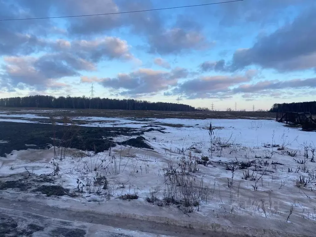 Участок в Московская область, Кашира городской округ, д. Аладьино ул. ... - Фото 0