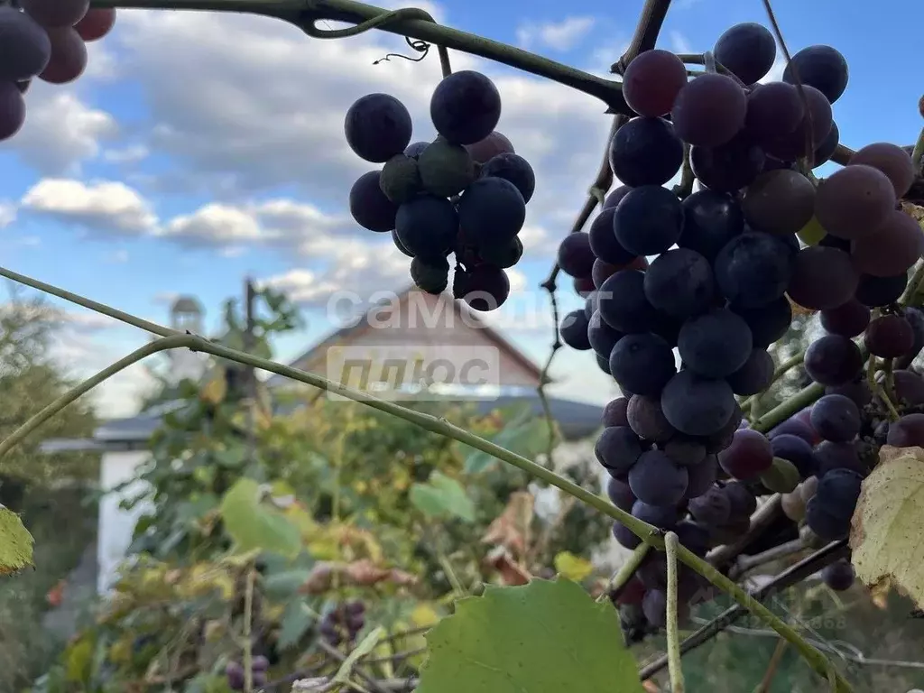 Дом в Липецкая область, Липецкий муниципальный округ, с. Пады ул. ... - Фото 1