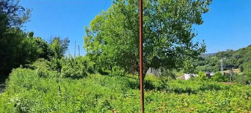 Участок в Краснодарский край, Сочи городской округ, с. Нижняя Шиловка ... - Фото 2