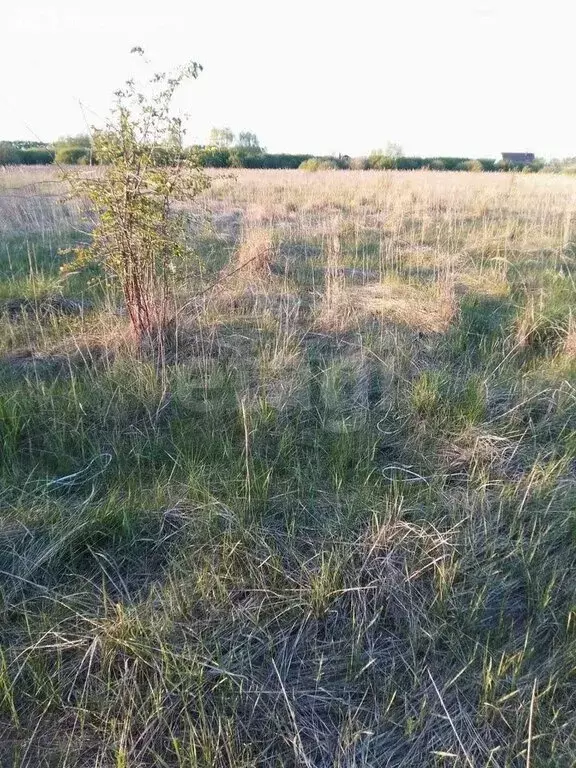 Участок в село Новая Усмань, Дачная улица, 1 (9 м) - Фото 2