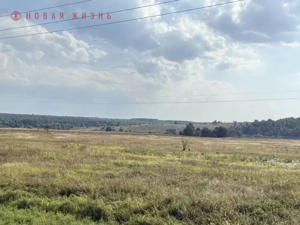 Участок в Самарская область, Красноярский район, Светлое Поле с/пос, ... - Фото 2