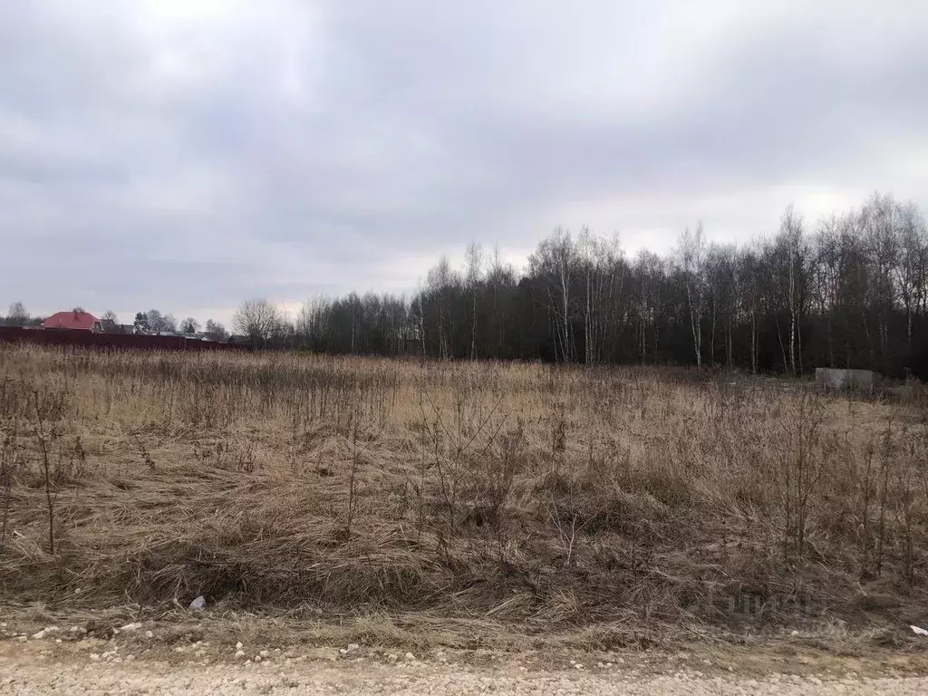 Участок в Московская область, Орехово-Зуевский городской округ, д. ... - Фото 0