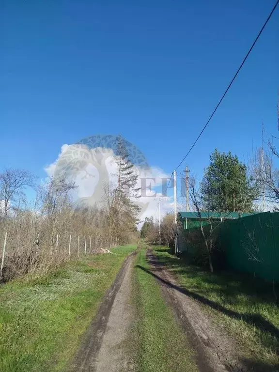 Участок в Воронежская область, Лискинский район, Старохворостанское ... - Фото 1