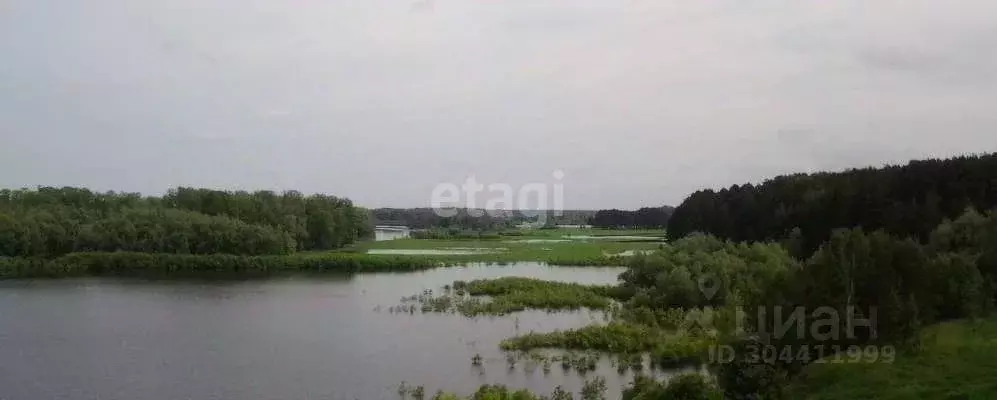 участок в тюменская область, нижнетавдинский район, с. девятково . - Фото 0