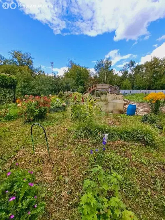 Участок в Владимирская область, округ Муром, село Панфилово (6 м) - Фото 0