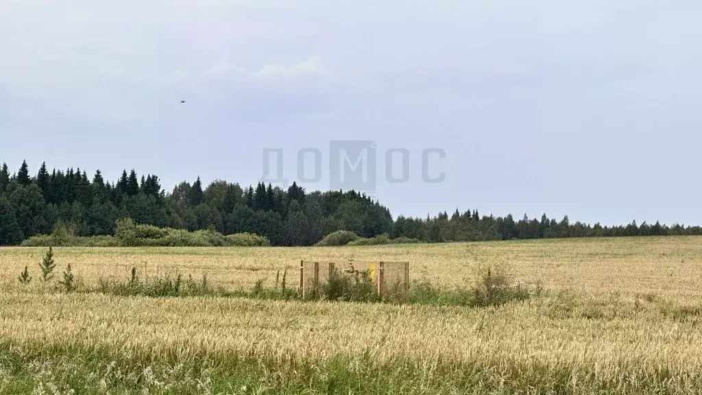 Участок в Свердловская область, Алапаевск  (220001.0 сот.) - Фото 2