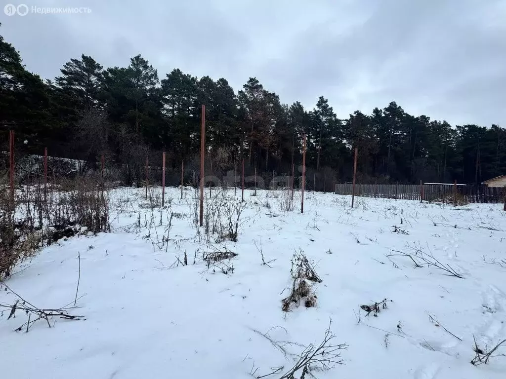 Участок в Искитимский район, село Тальменка (12 м) - Фото 1