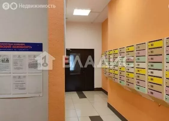 Квартира-студия: Янино-2, Рябиновая улица, 5 (22 м) - Фото 2
